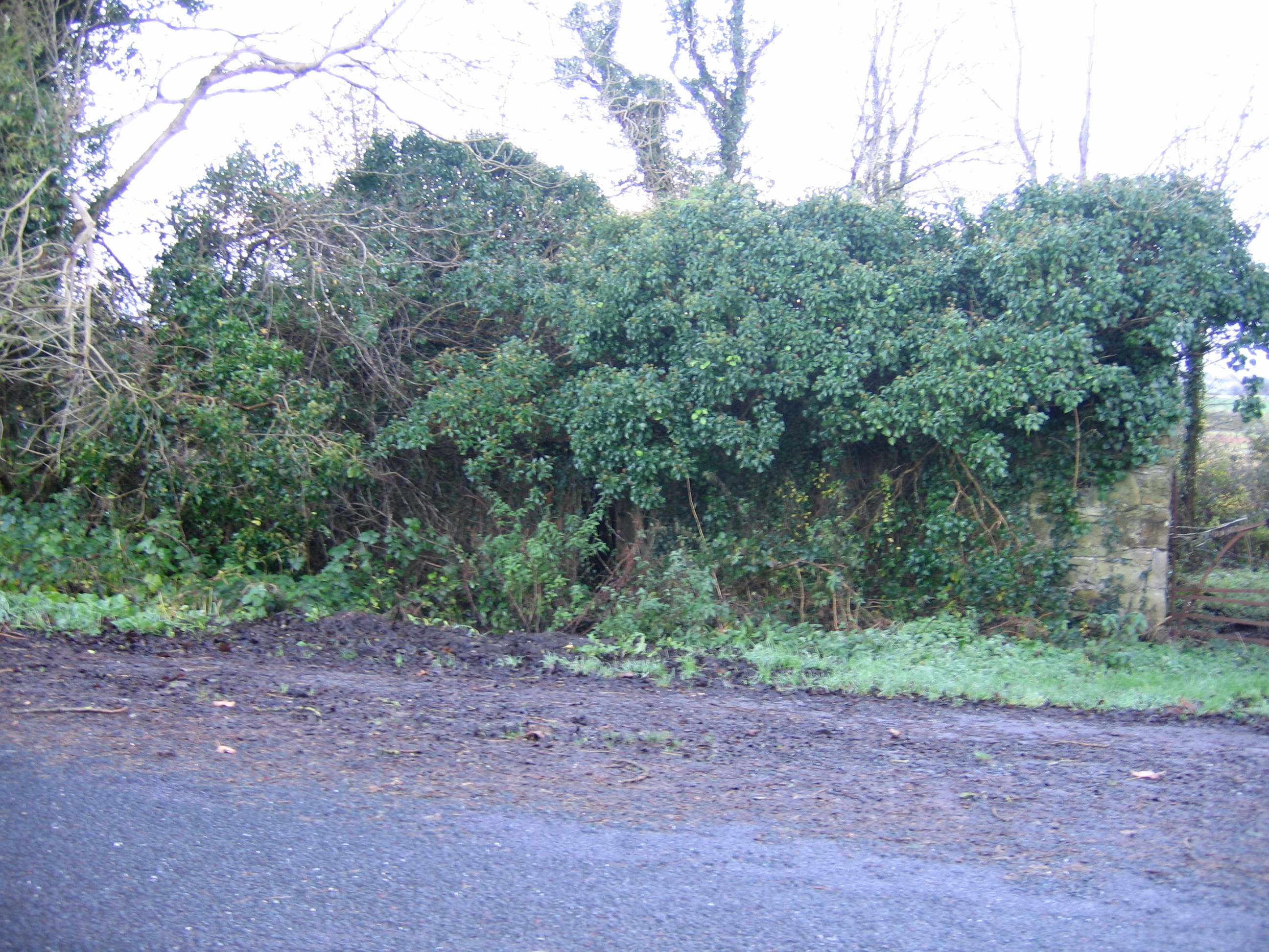 Ruin of Diskin's Forge at Corohan