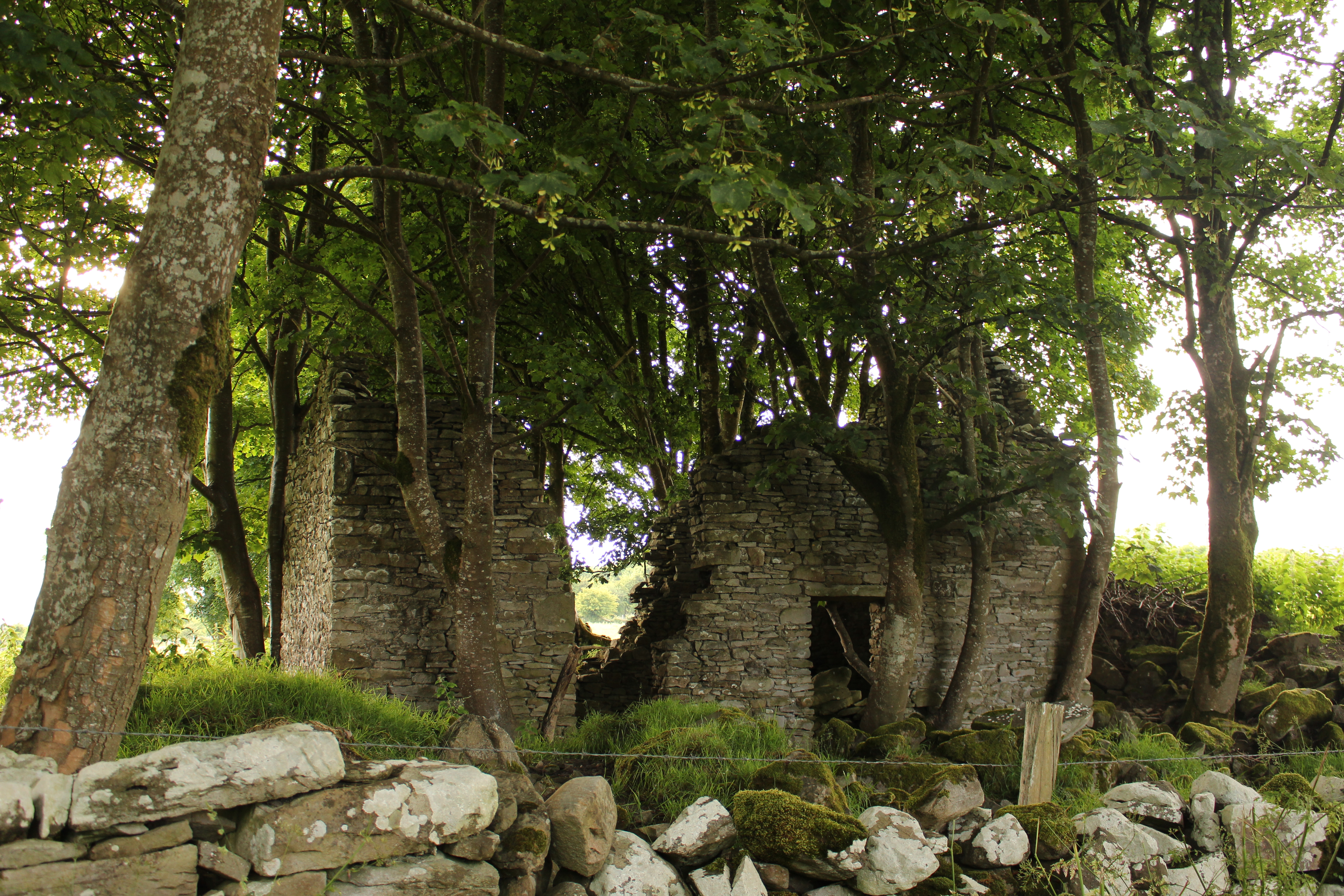 Ruin Of Conway's Shop